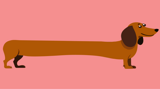 Respektera alla tills de visar sig vara idioter