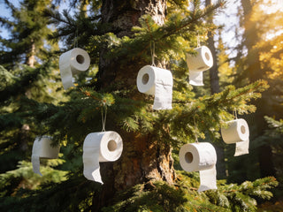 Tillbaka till rötterna