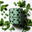 Leafy green